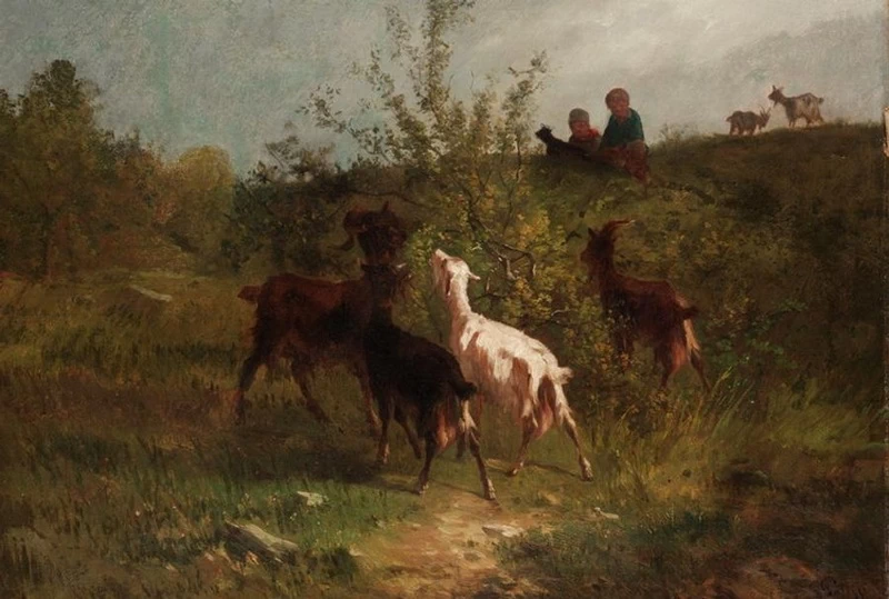 Paesaggio con capre